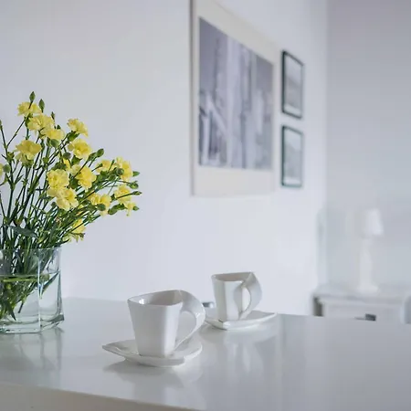 The Charm * 스플리트