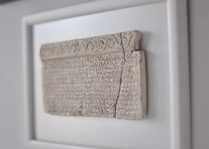 Apartment The Charm Split